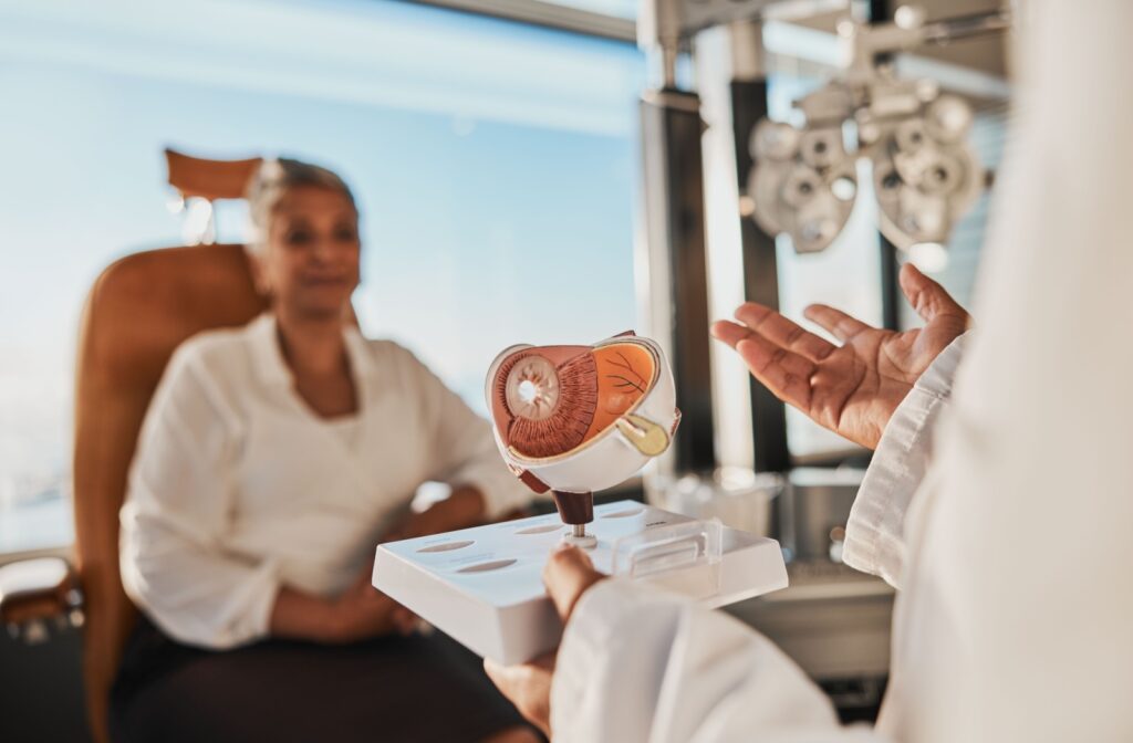 An eye doctor uses an anatomical model to explain how certain conditions can damage and lead to peripheral vision loss