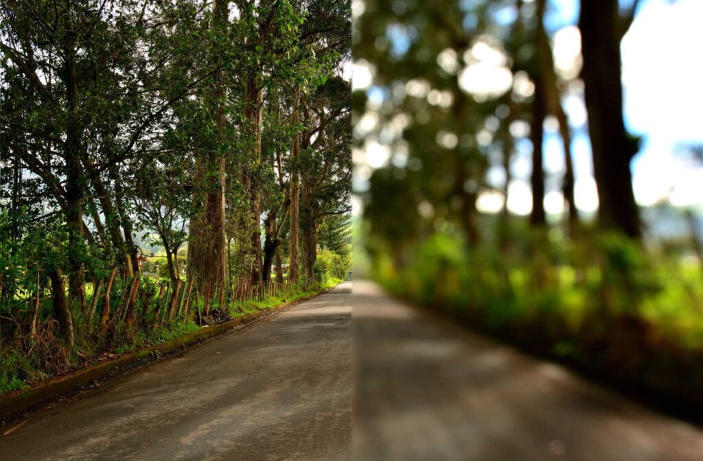 A side by side comparison of clear versus blurry vision.